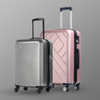 4.24 Pink Luggage
